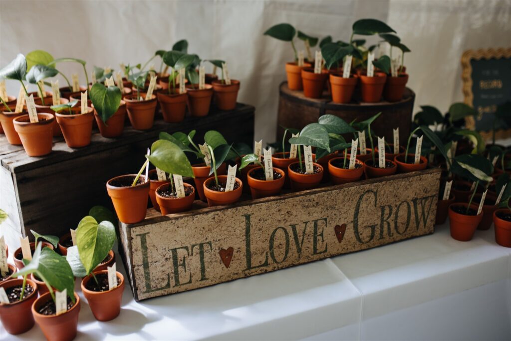 Potted plants and a Let Love Grow sign at a wedding favor station